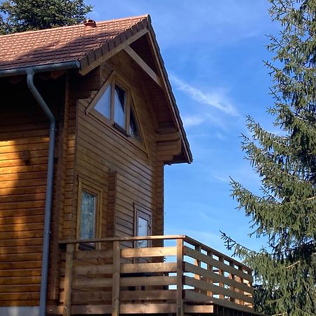 Chalet Authentique Au Calme, En Lisiere De Foret, Montagne, Sentiers 15Mn Gerardmer & Alsace "Chalet Mon Beau Sapin" Anould Exterior photo