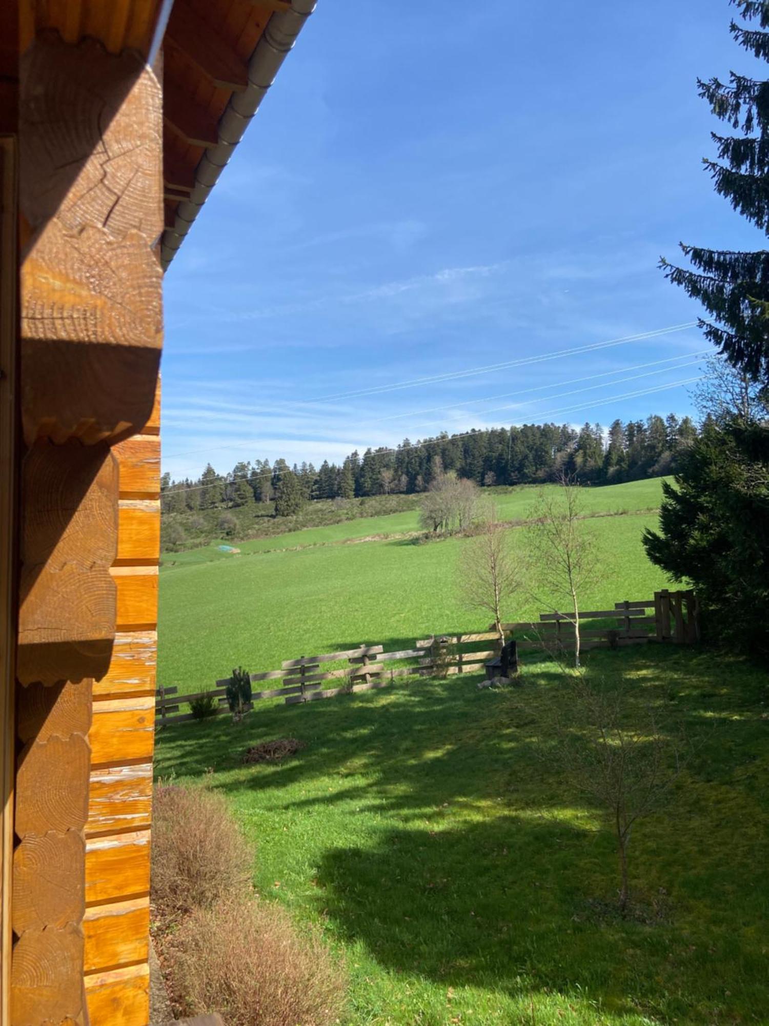 Chalet Authentique Au Calme, En Lisiere De Foret, Montagne, Sentiers 15Mn Gerardmer & Alsace "Chalet Mon Beau Sapin" Anould Exterior photo