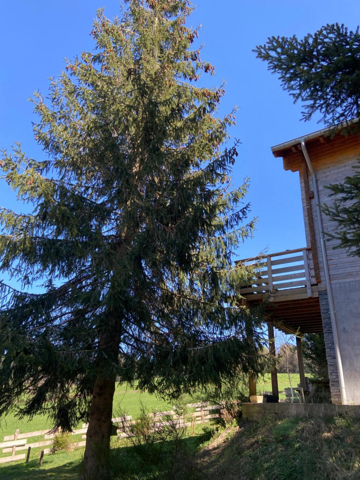 Chalet Authentique Au Calme, En Lisiere De Foret, Montagne, Sentiers 15Mn Gerardmer & Alsace "Chalet Mon Beau Sapin" Anould Exterior photo