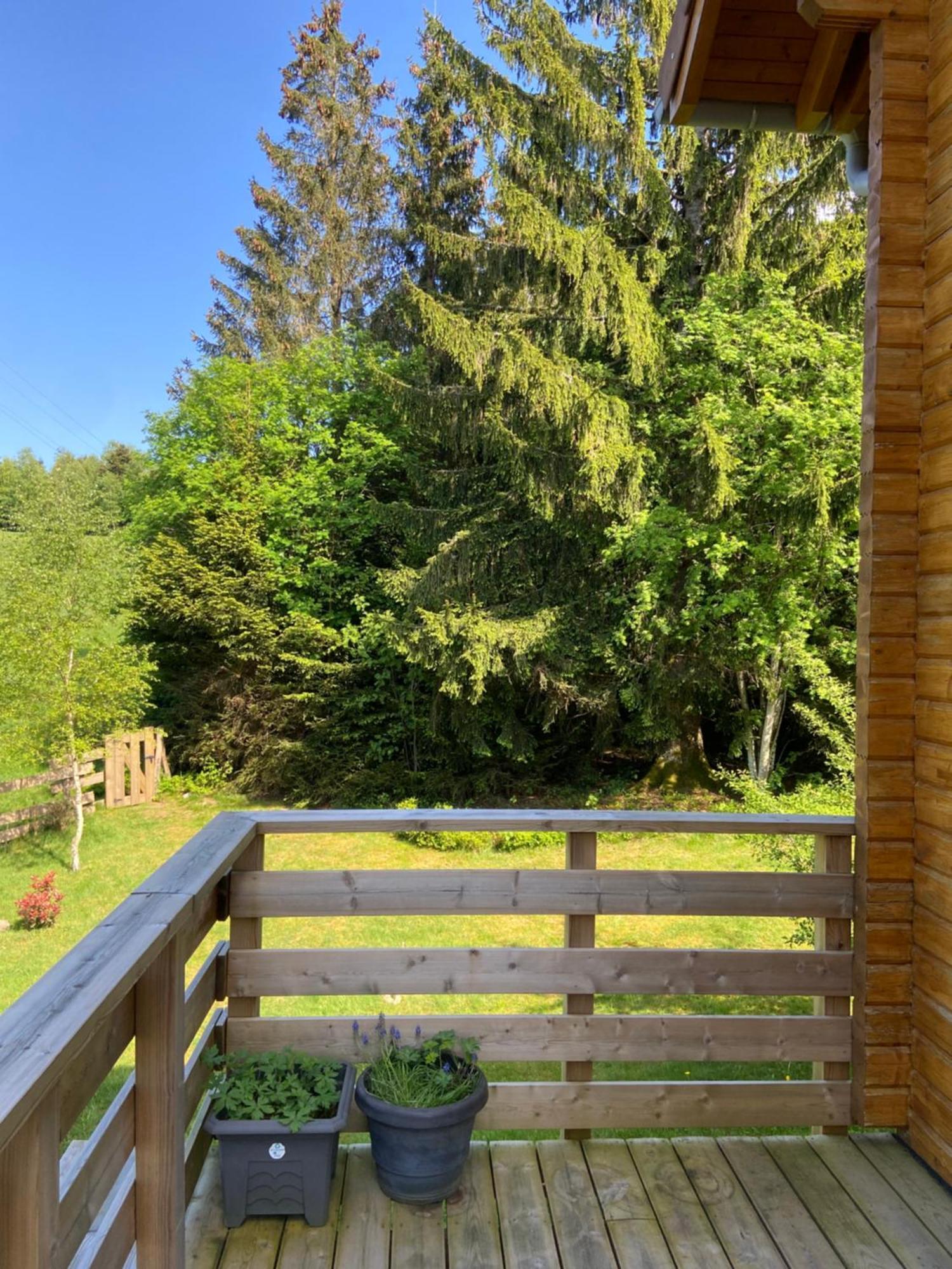 Chalet Authentique Au Calme, En Lisiere De Foret, Montagne, Sentiers 15Mn Gerardmer & Alsace "Chalet Mon Beau Sapin" Anould Exterior photo